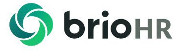 BrioHR's logo
