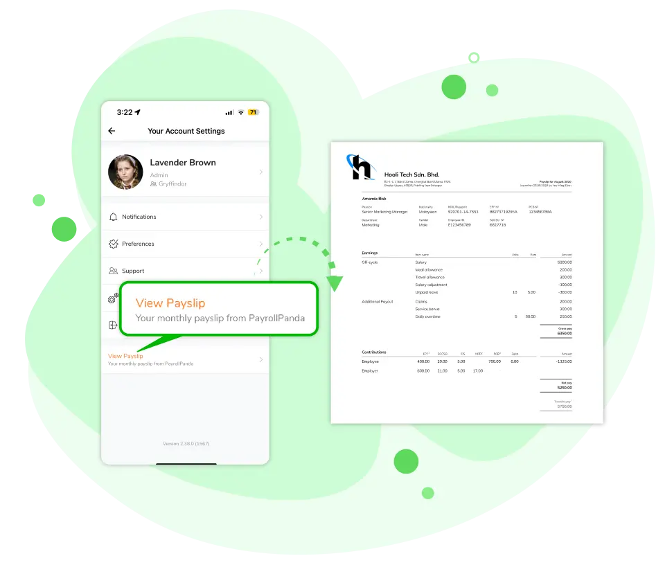 View payslip